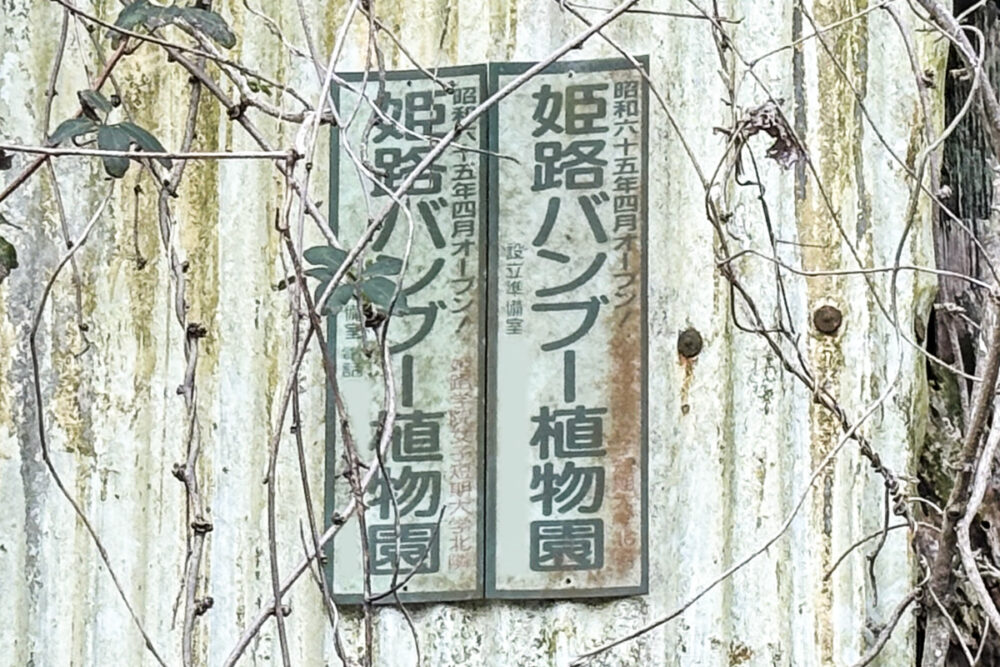 来なかった昭和の思い出