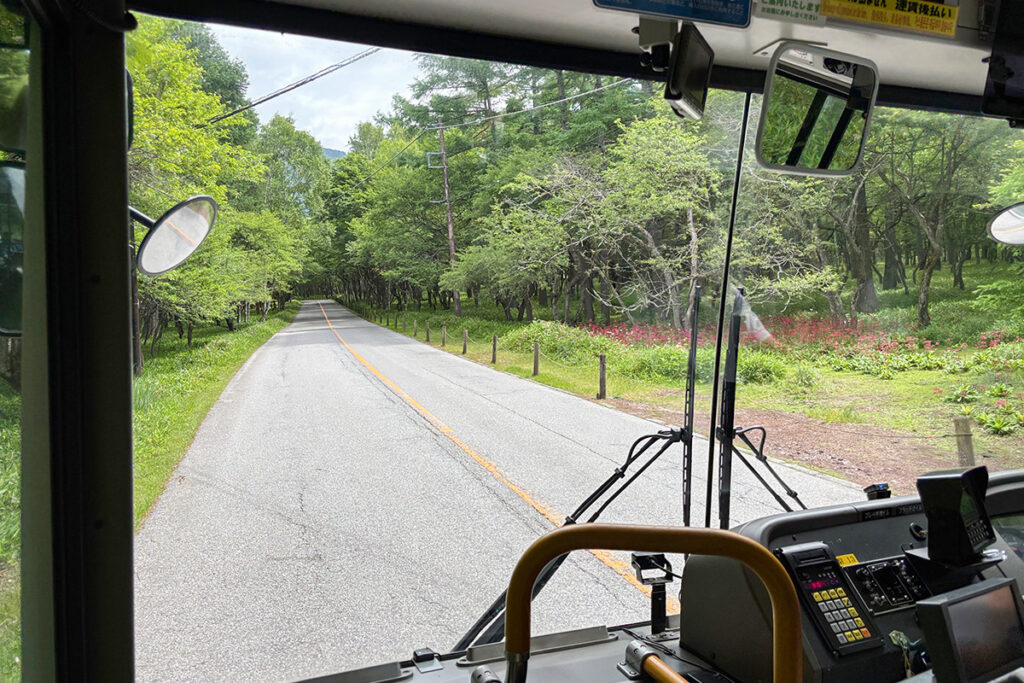 「右手前をご覧ください、今季最後の九輪草が咲いております」そんなアナウンスを挟んでもらえるのも観光地ならでは