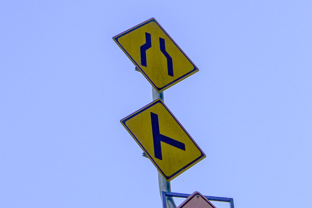 どう見たって「ハト」!!（バス待ち中の豊田市にて）