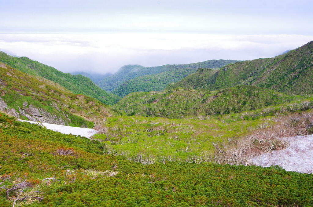 6月頃の知床峠頂上付近からの眺め